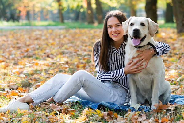 Why Are Himalayan Yak Chews Good For Dogs Dental Hygiene?
