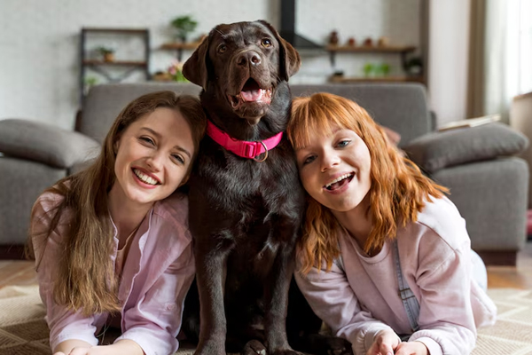 Championing Excellence: The Importance of Dog Shows